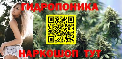 соль ск Усть-Илимск