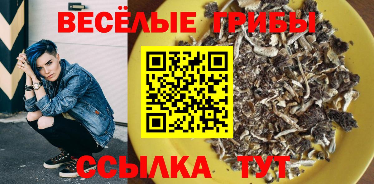 Псилоцибиновые грибы мухоморы Крымск
